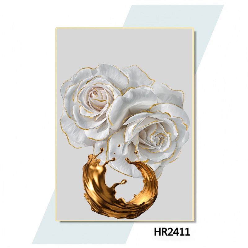 HR2411