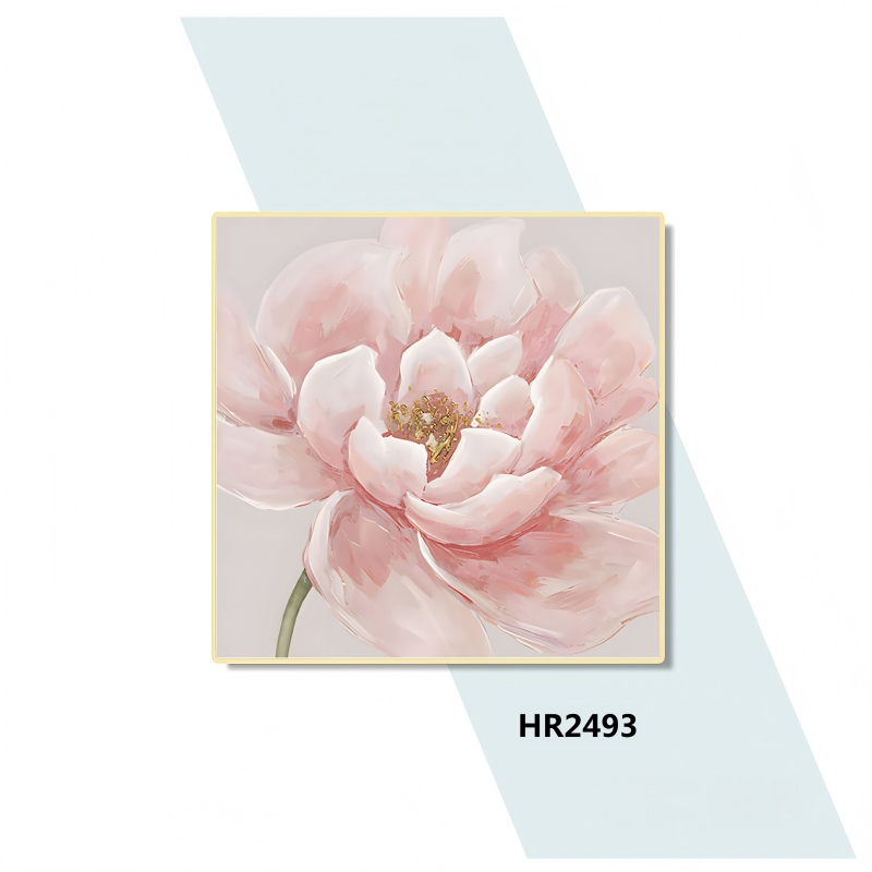 HR2493