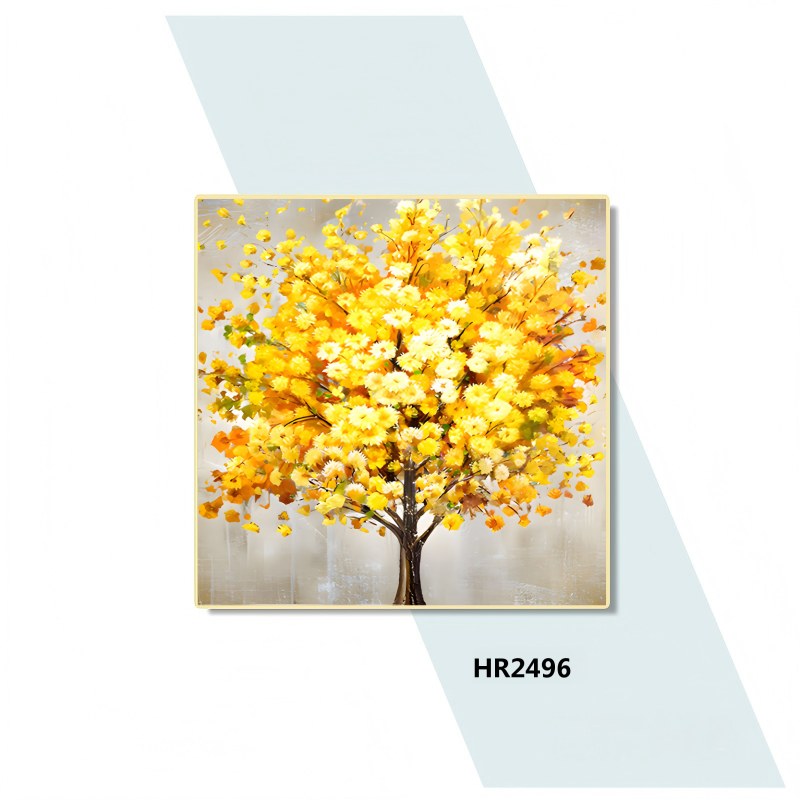HR2496
