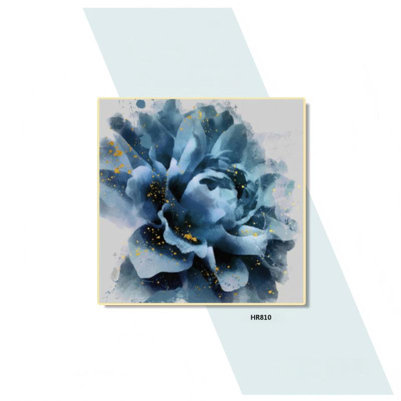 HR810